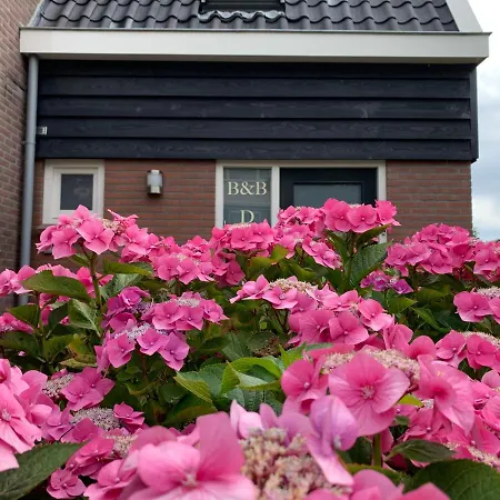 Apartmán - De Koog