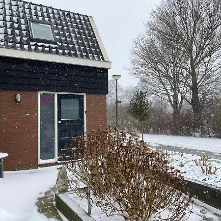 Apartment - De Koog *